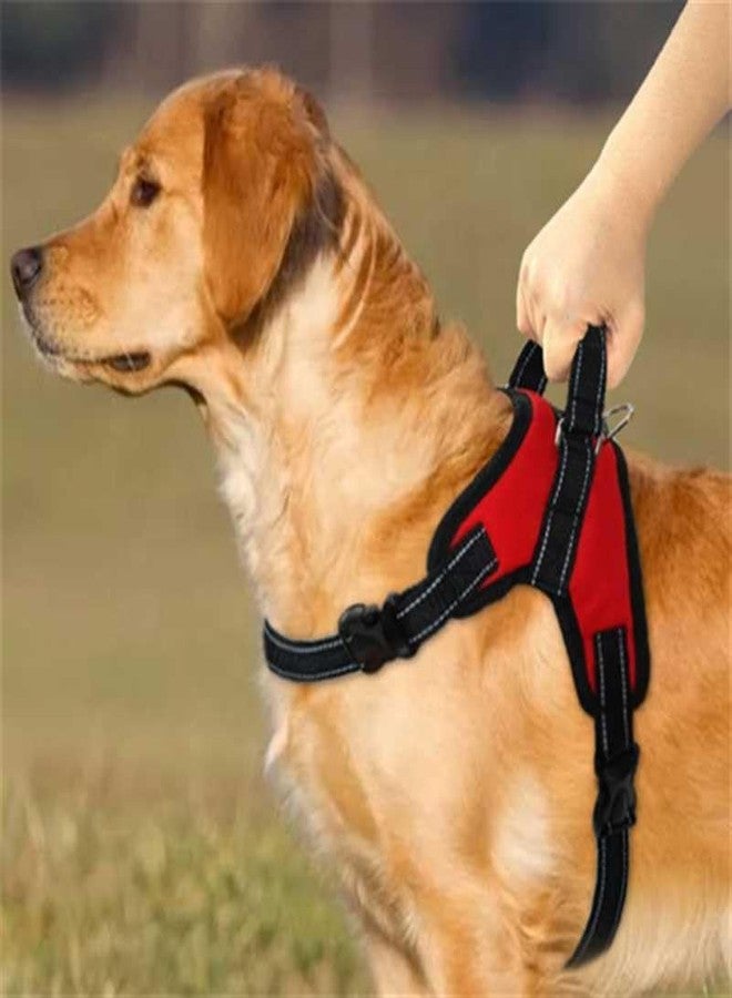 RoverPets No Pull Dog Body Belt | Adjustable & Soft Padded Dog Harness | for 05-13Kg Dogs - Shih Tzu, Poodle, Chihuahua - Color As Vary - Dezine - Image 2